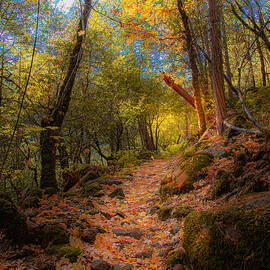 Not All Who Wander... by Mike Lee