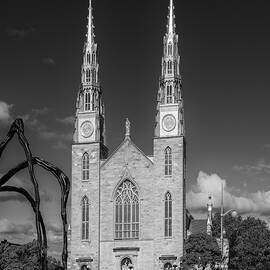 Notre-Dame Cathedral Basilica by Shankar Adiseshan