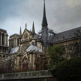 Notre Dame by Rebecca Herranen