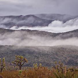 November 2019 Misty Morning by Alain Zarinelli