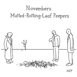 November's Matted Rotting Leaf Peepers by Adam Douglas Thompson