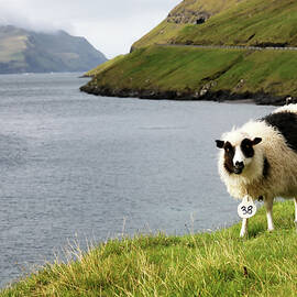 Number 38 by Nicholas Blackwell