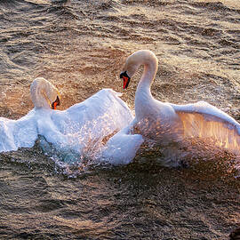 Nuptial dance by Tatiana Travelways