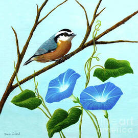 Nuthatch and Morning Glories by Sarah Irland