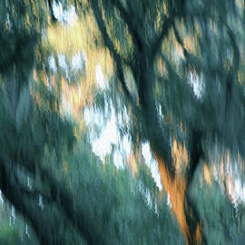 Oak Abstraction 1B by Sally Fuller