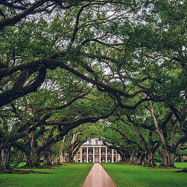 Oak Alley Plantation Tree Tunnel 2 - Vacherie, Louisiana by Abbie Matthews
