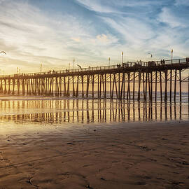 Oceanside Pier at Low Tide by Alison Frank