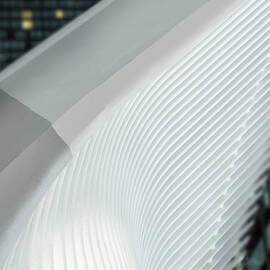 Wings by Susan Candelario