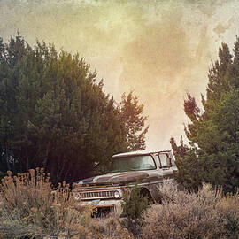 Old Chevy Truck in New Mexico by Mary Lee Dereske