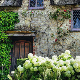 Old English Thatched Cottage by Abigail Diane Photography