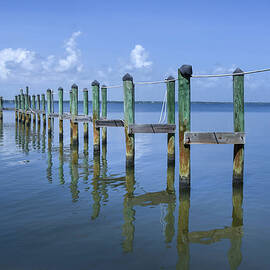 Old Florida Dock Pilings by Rebecca Herranen