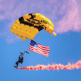 Old Glory Dropping In by Mike Lee