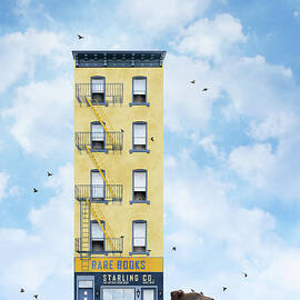 Starling Co. by Moira Risen