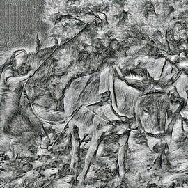 Old Woman With Donkeys Plowing by Antonios Valamontes