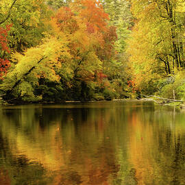 On Golden Pond by Dodie Ross