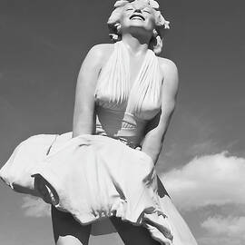 On her way home to Palm Springs by Joe Schofield