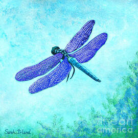 On Violet Wings by Sarah Irland