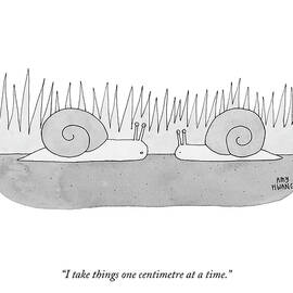 One Centimetre at a Time by Amy Hwang