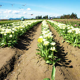 One Is Not Like the Others by Tom Cochran