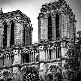 One Last Look by Rebecca Herranen