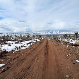 One Man's Paradise by Joe Schofield