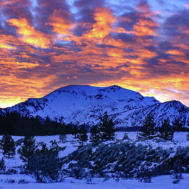 Mammoth Mountain - Opalescent Sunset   by Bonnie Colgan