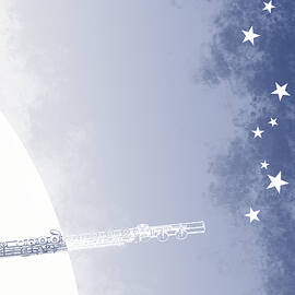 Opera poster - Die Zauberfloete by Wolfgang Amadeus Mozart by Moira Risen