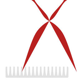 Opera poster - The barber of Seville by Gioachino Rossini by Moira Risen