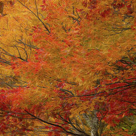 Orange Crush by Dodie Ross