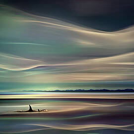 Orcas by Ursula Abresch