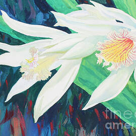 Orchids - Thunia alba by Ren Yu