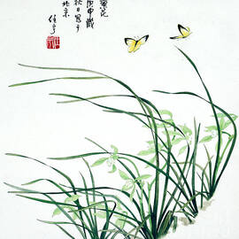 Blossoms of China - Orchid by Ren Yu