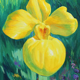 Orchids - Paphiopedilum armeniacum by Ren Yu