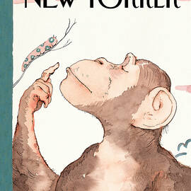 Origin Story by Barry Blitt