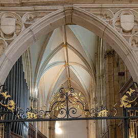 Ornate Gothic Archway by Shirley Mitchell