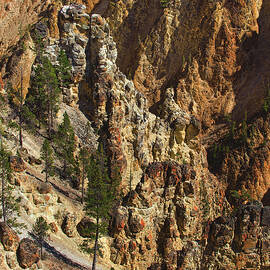 Osprey Nests in the Grand Canyon of the Yellowstone, Wyoming by Abbie Matthews