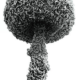 Out of Sight Out of Mind by Joe Schofield