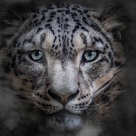 Out of the mist by Chris Boulton