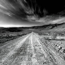 Out There at the End of This Road by Joe Schofield