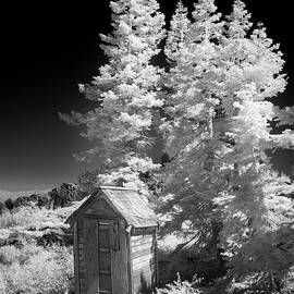 Outhouse on Mills Peak - Plumas County California - Infrared by Mike Lee