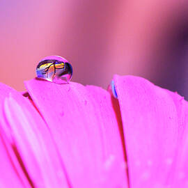 Overlook by Matt Halvorson