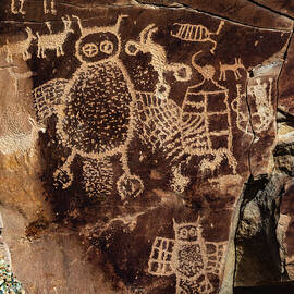 Owl Panel Close Up Vertical - Nine Mile Canyon, Utah by Abbie Warnock