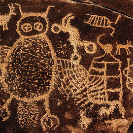 Owl Panel - Nine Mile Canyon, Utah by Abbie Warnock