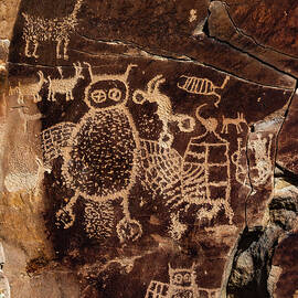 Owl Panel Vertical - Nine Mile Canyon by Abbie Matthews