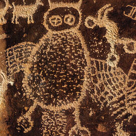 Owl Petroglyph Close Up, Vertical - Nine Mile Canyon, Utah by Abbie Matthews