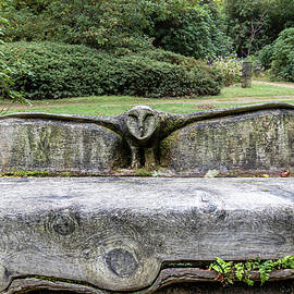 Owl Sculpted Wooden Bench  by Shirley Mitchell
