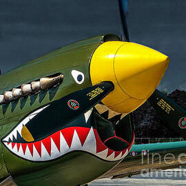 P-40 Warhawk Nose Art Art Print by Nick Zelinsky Jr - Metal Posters