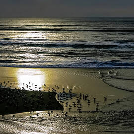 Pacifi Coast just north of Santa Cruz by Tommy Farnsworth