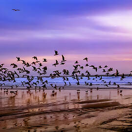 Pacific Coast Highway Sunset Santa Cruz California by Tommy Farnsworth