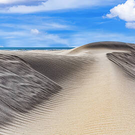 Padre Island Sand Sculpture by Kelley King